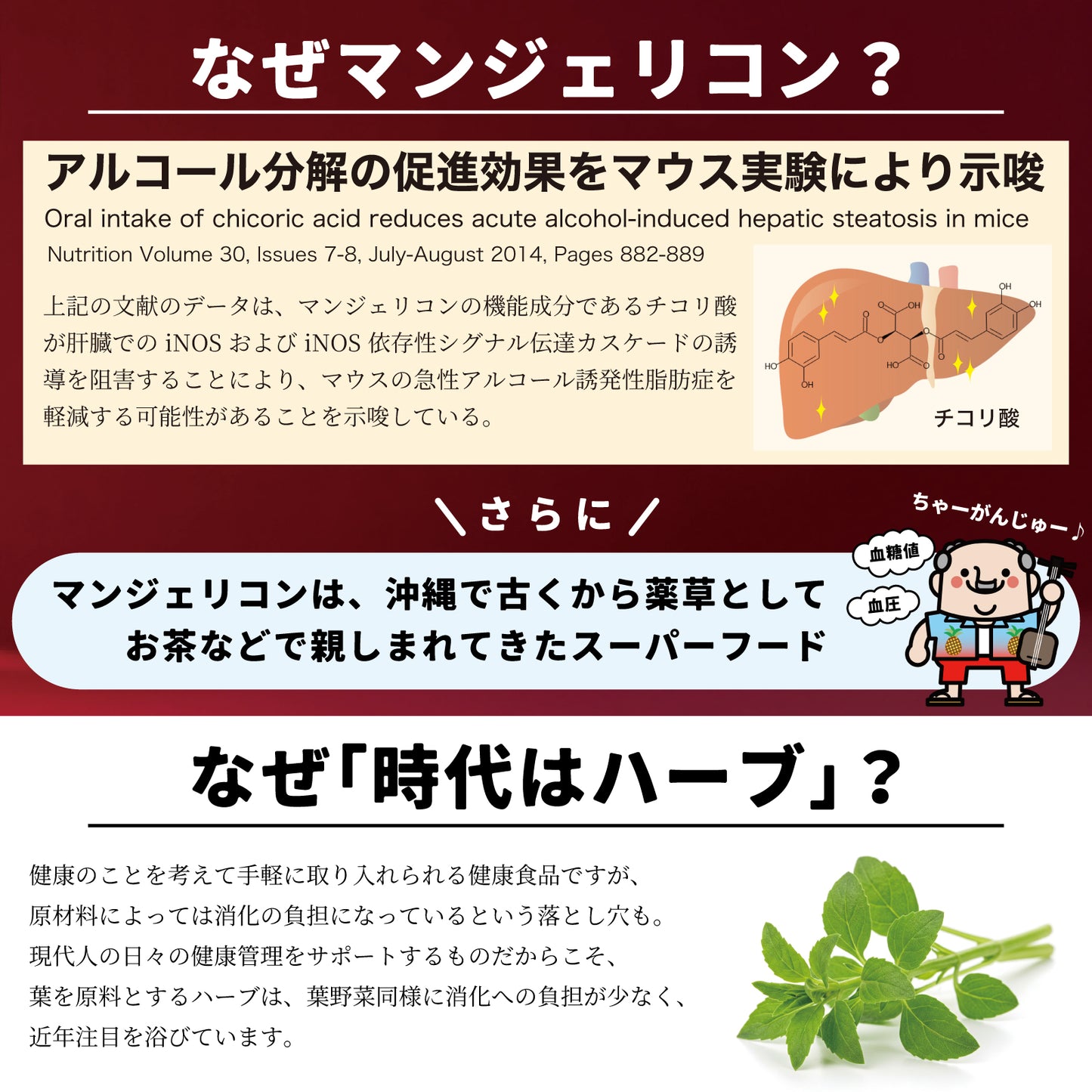 マンジェリコンタブレット[モリンガ配合](1粒250mg)