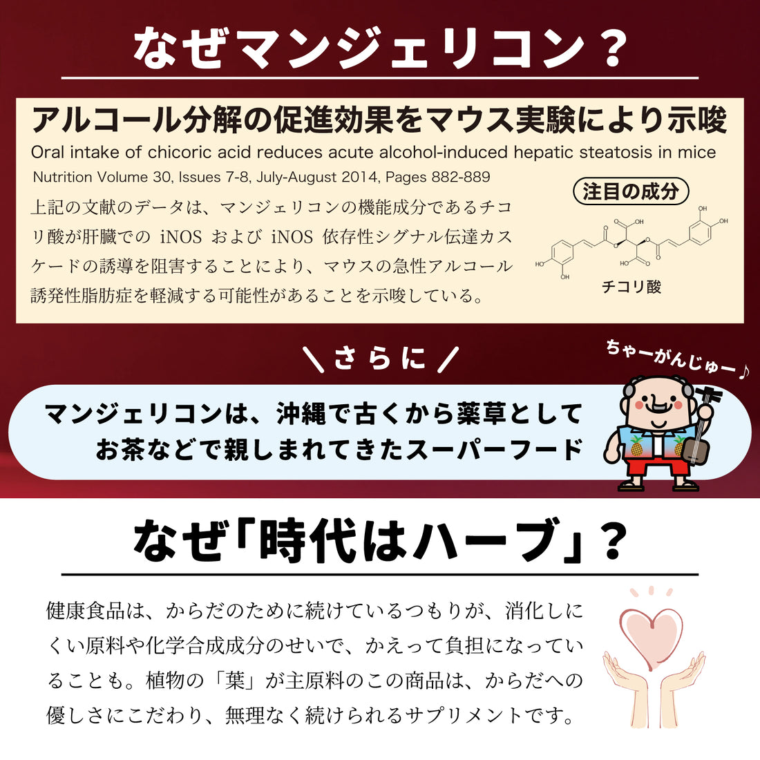 辣木素片（含辣木）（250毫克 x 90片）