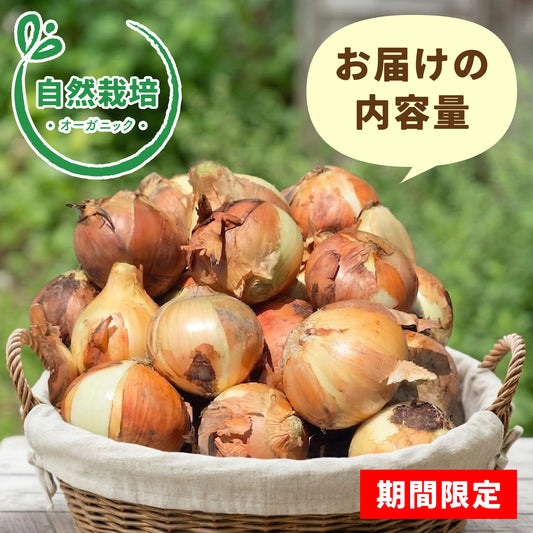 【自然栽培】玉ねぎBOX 5kg★送料込み★