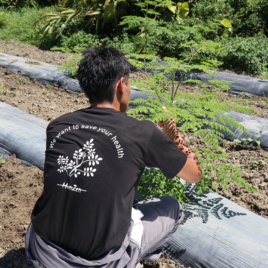 Honnen Farm Original T-shirt 2024