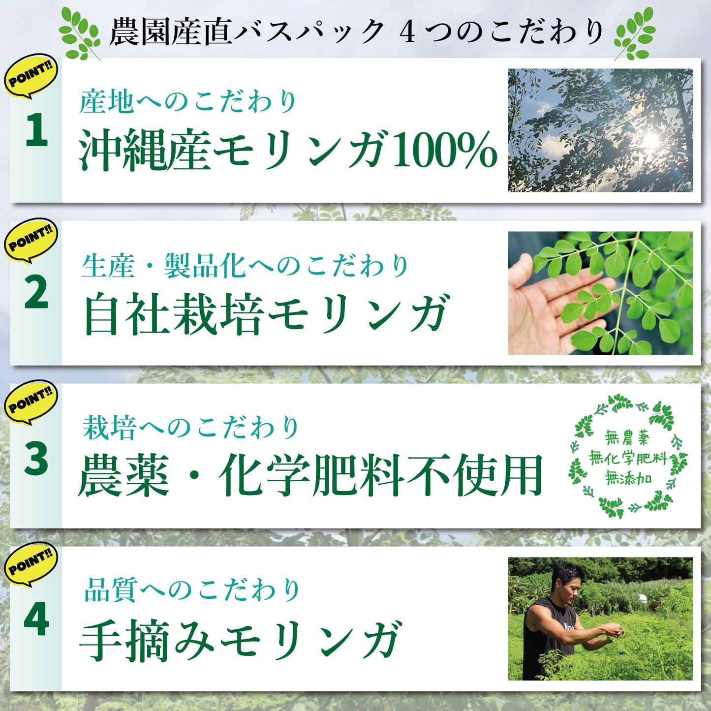 モリンガバスパック（10g×5包：50g）