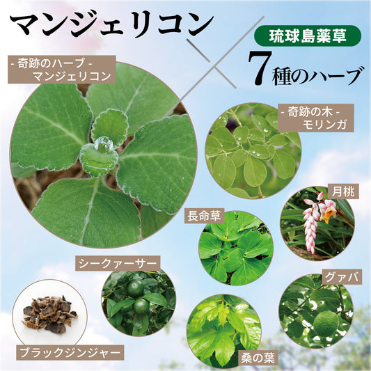 マンジェリコンタブレット[モリンガ＆6種のハーブ配合]【有機JAS認証】(1粒250mg)