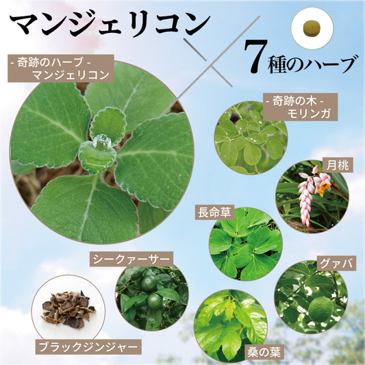 マンジェリコンタブレット[モリンガ＆6種のハーブ配合]【有機JAS認証】(1粒250mg)