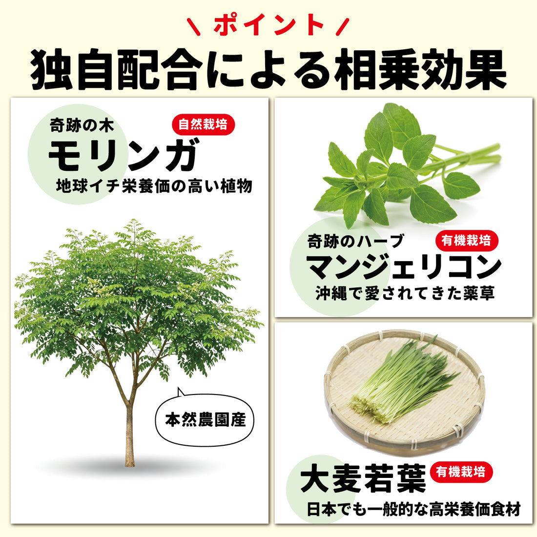 Rescue Moringa Tablets