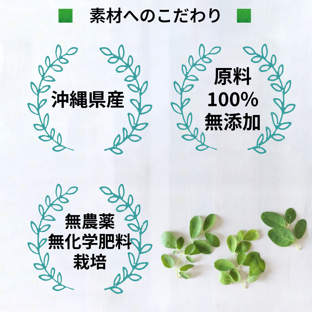 モリンガパウダー[無添加100%](30g)