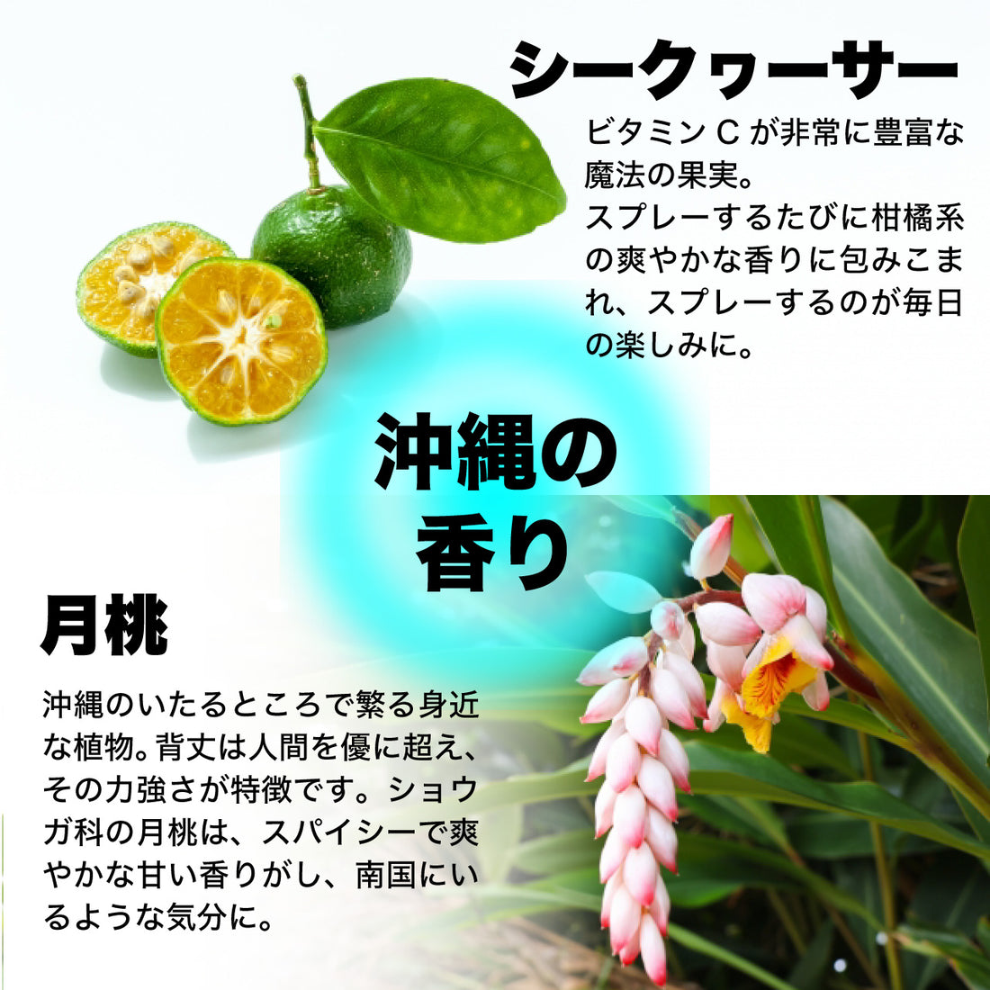 Rescue Botanical Lotion (150mL)
