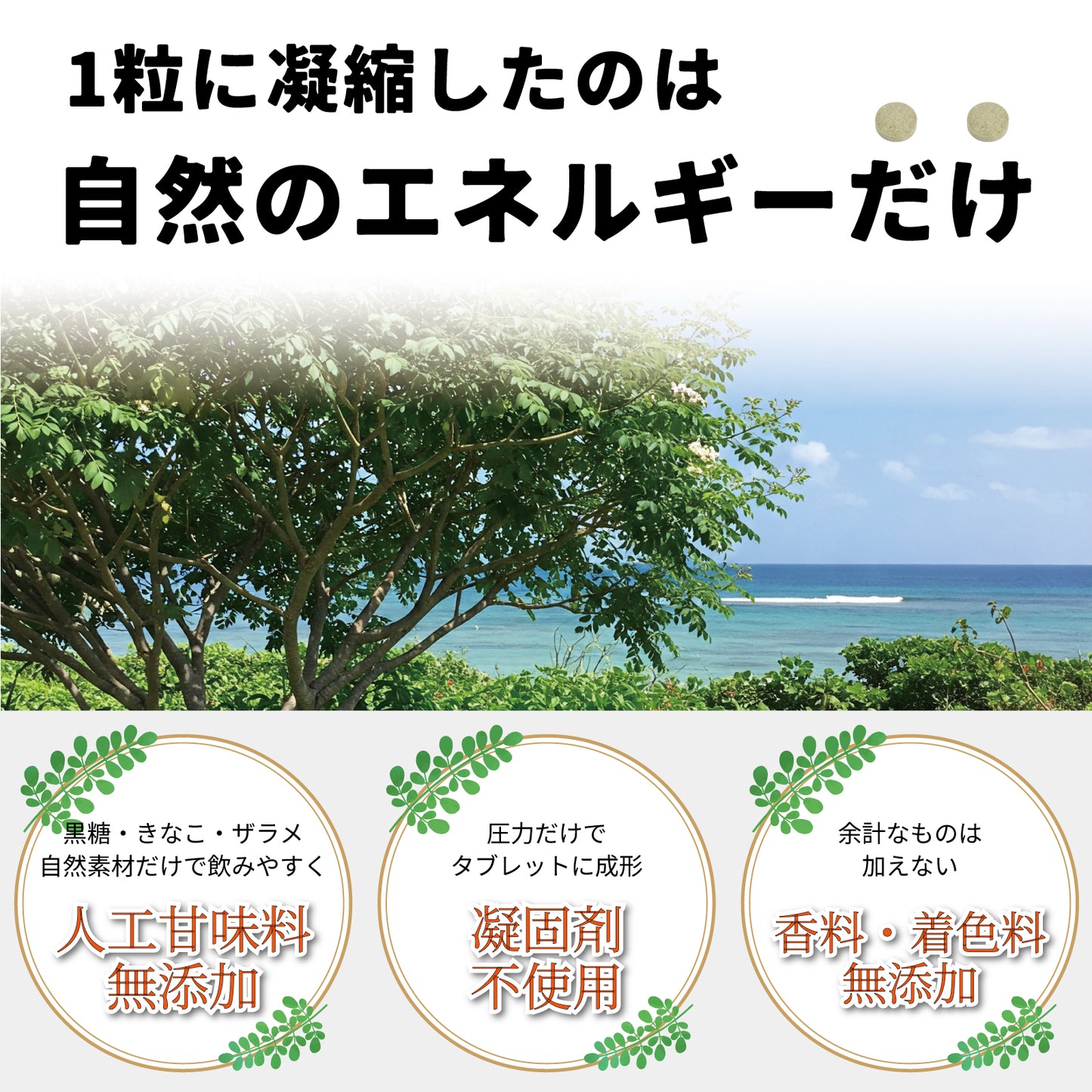 RESCUEモリンガタブレット(1粒250mg)