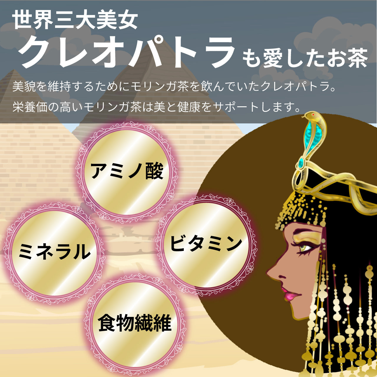 モリンガ茶[無添加100%](2g×15包：30g)