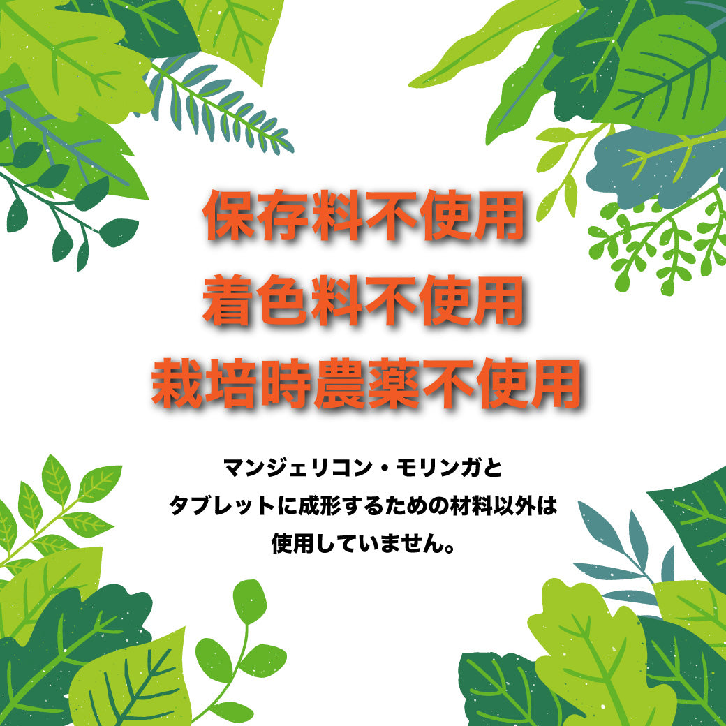 マンジェリコンタブレット[モリンガ配合](1粒250mg)